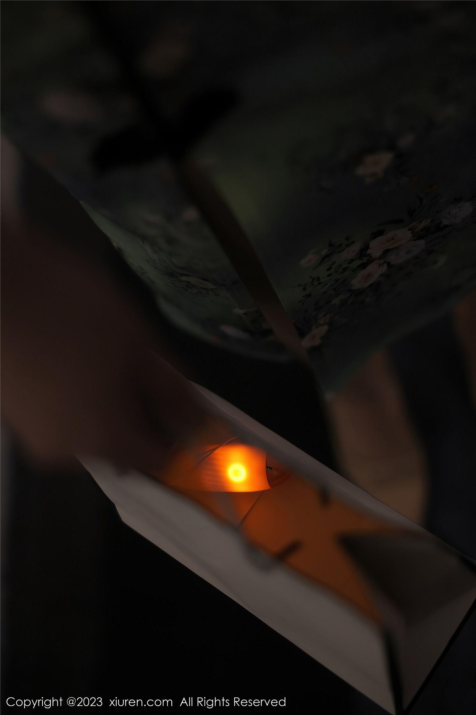 [XIUREN秀人网] 2023.03.24 NO.6464 Arude薇薇_p016