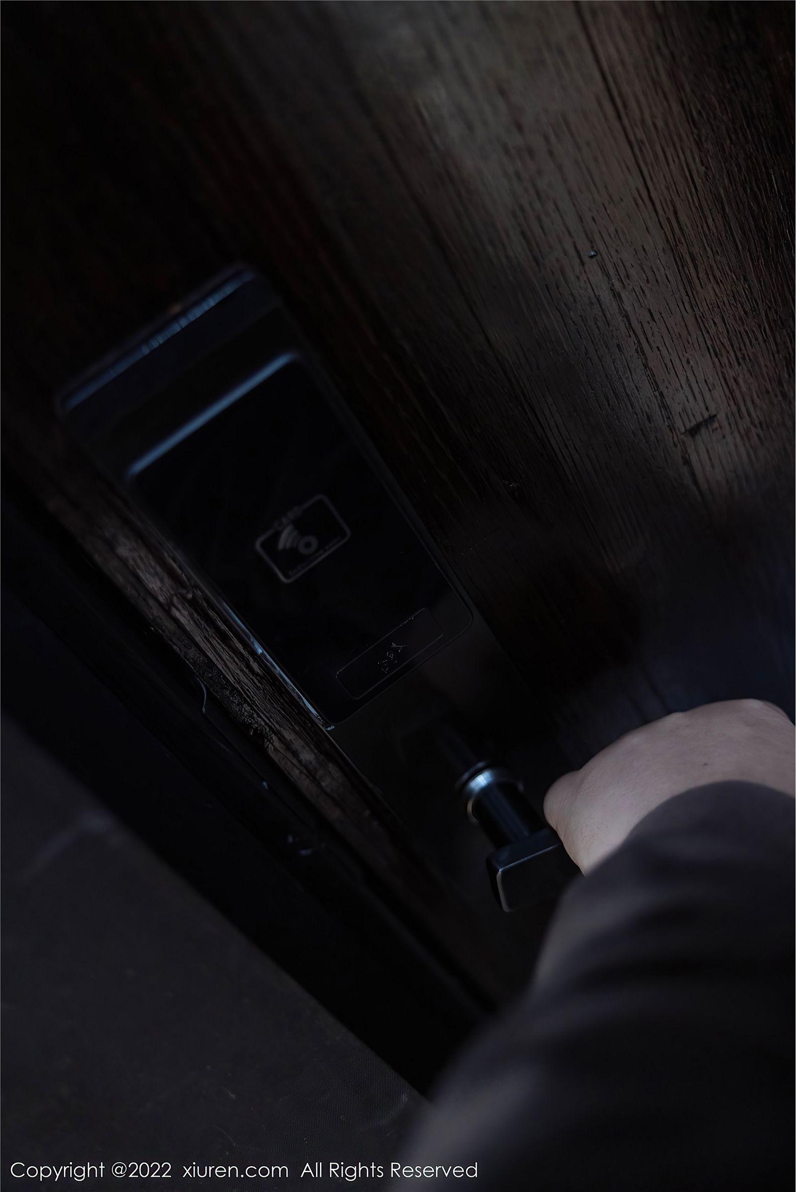 [XIUREN秀人网] 2022.01.21 NO.4498 绮里嘉ula_p004