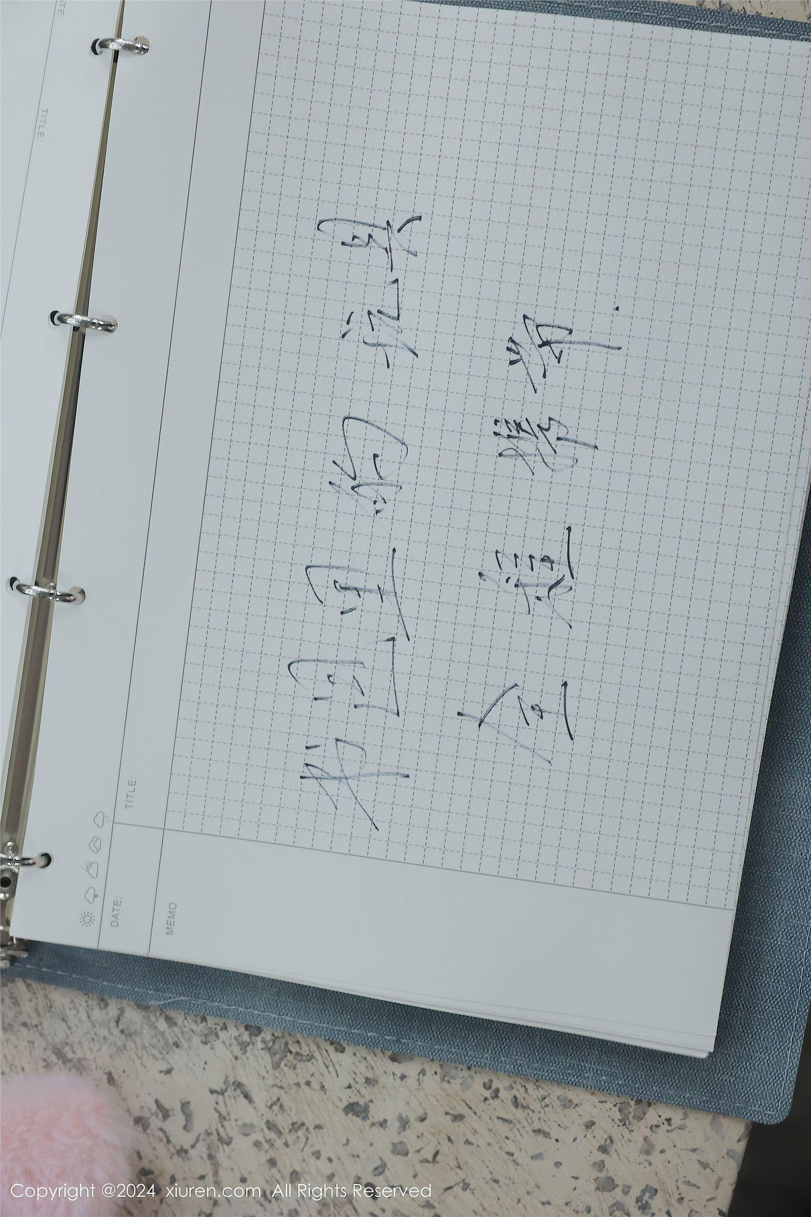 [XIUREN秀人网] 2024.04.02 NO.8335 小薯条nienie_p051
