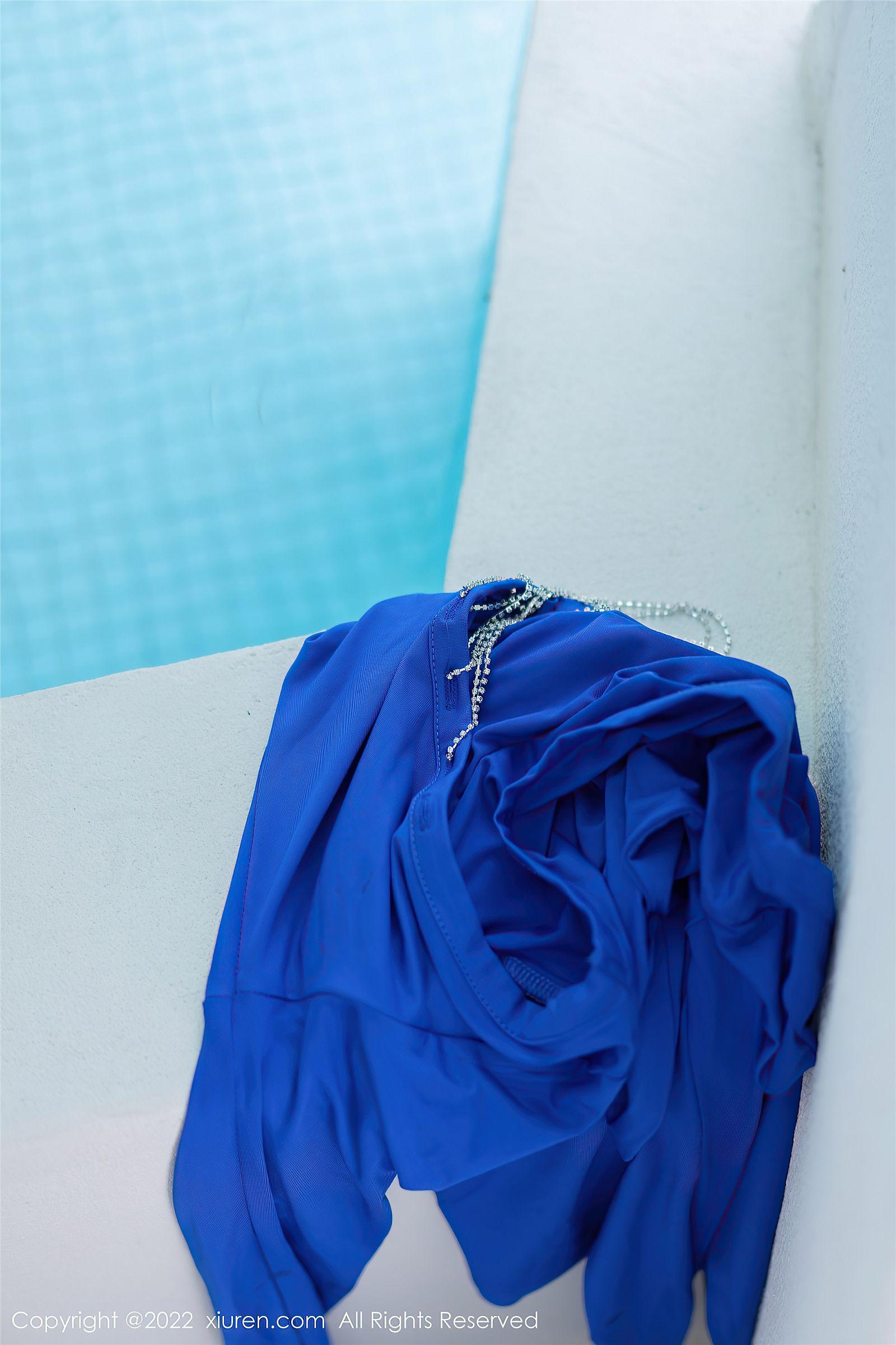 [XIUREN秀人网] 2022.04.21 NO.4903 小海臀Rena_p033