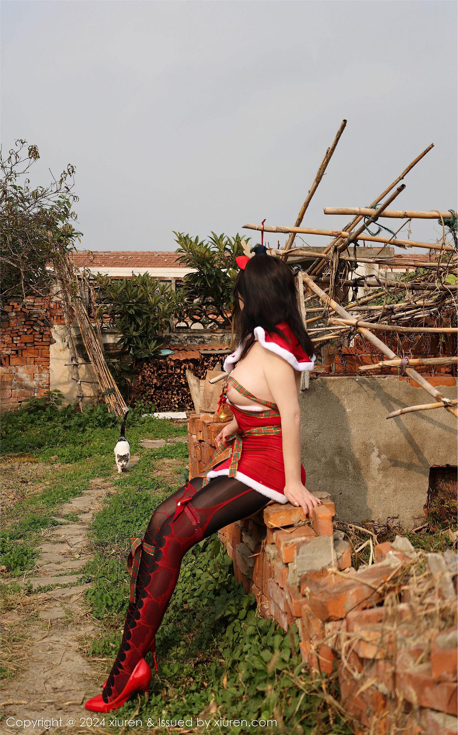 [XIUREN秀人网] 2024.12.20 NO.9630 小薯条nienie_p036