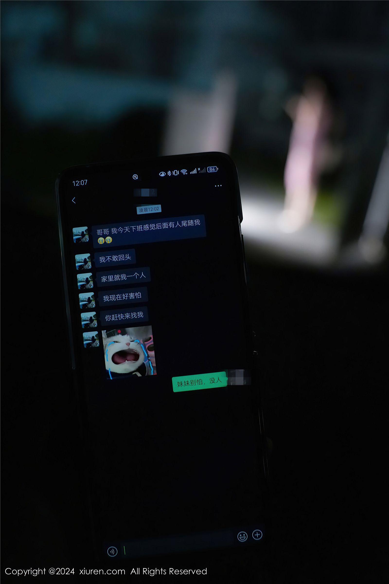 [XIUREN秀人网] 2024.07.12 NO.8855 Erikaki_p012