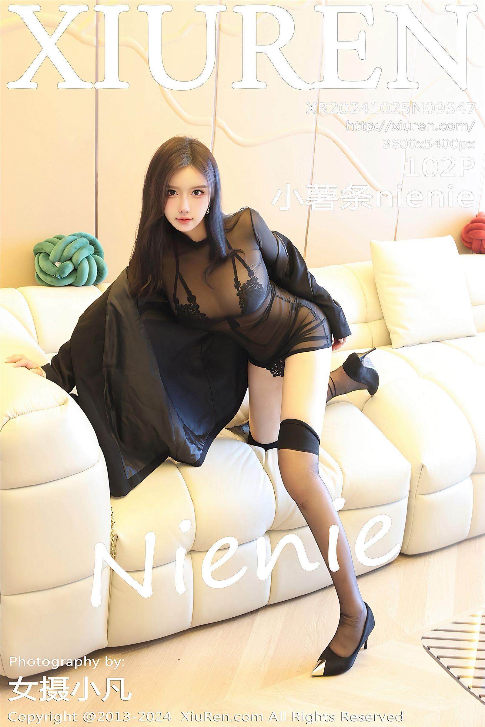[XIUREN秀人网] 2024.10.25 NO.9347 小薯条ni_p006