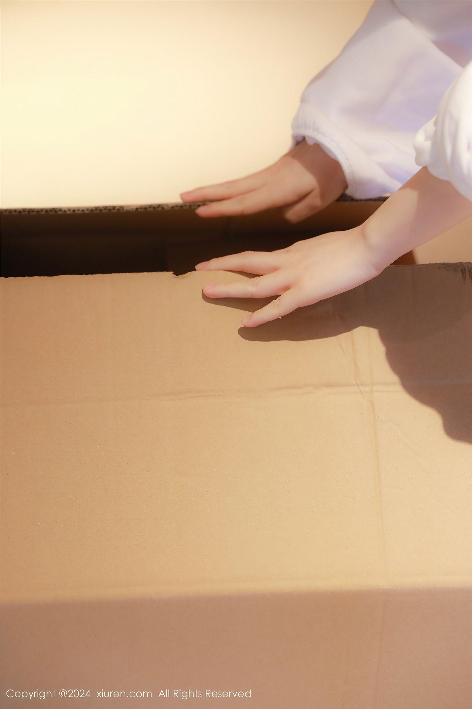 [XIUREN秀人网] 2024.01.31 NO.8044 小薯条nienie_p041