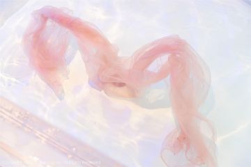 [XIUREN秀人网] 2021.10.22 NO.4103 允爾_p058
