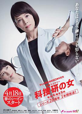 科搜研之女   第19季 