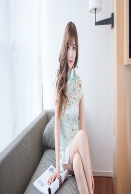 豹1963