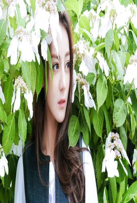 天梯