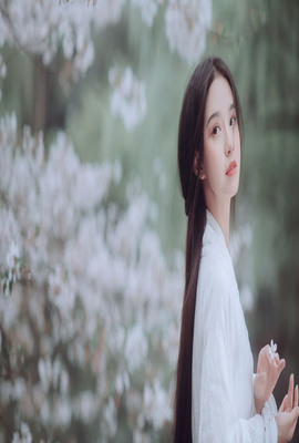 13幻影的霸者索罗亚克