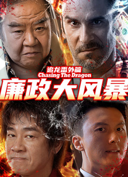 追龙之廉政大风暴