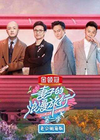 妻子的浪漫旅行2