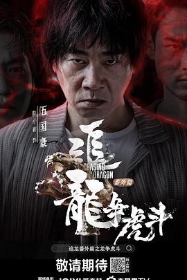 追龙之龙争虎斗