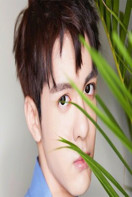 萌妃探案记