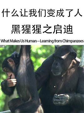 什么让我们变成了人:黑猩猩之启迪