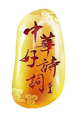 中华好诗词特别节目诗词王中王