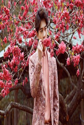 堕落天使2:和平卫士