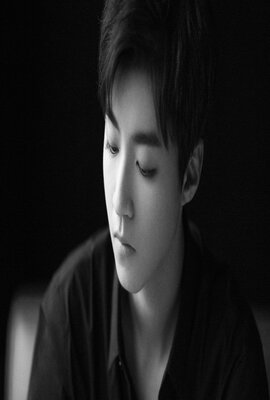 蔡李佛:极限拳速