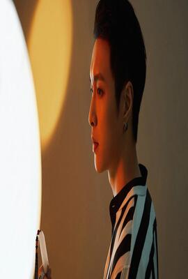 攻壳机动队 第二季