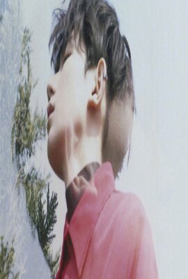 田间的少年