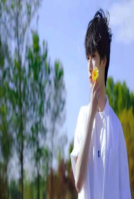 娃娃脸2