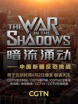 暗流涌动:中国新疆反恐挑战