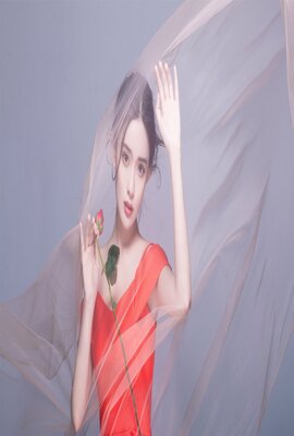 拘禁高校教师
