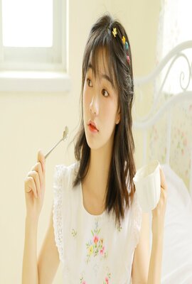 华盛顿的盔甲第一卷:旅程