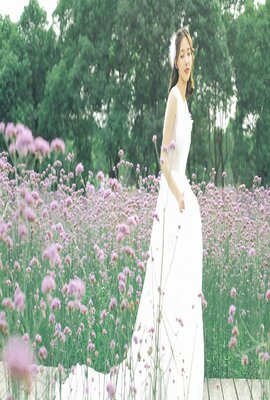 保家卫国:抗美援朝光影纪实