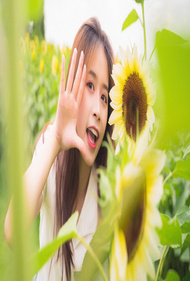梦想的声音 第三季