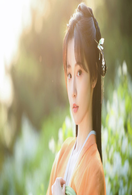 又见莱拉