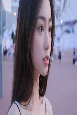 精灵宝可梦:比克提尼与黑之英雄捷克罗姆