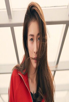 攻壳机动队:崛起4