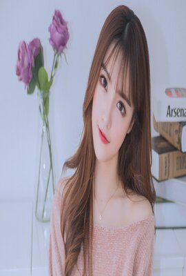 赛德克·巴莱 上:太阳旗