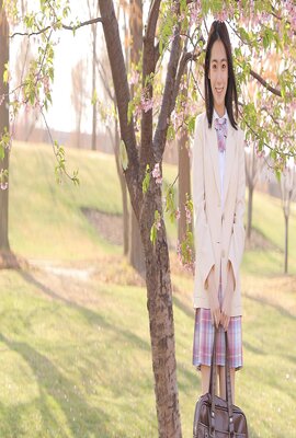 元素英雄:小波波