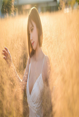 神奇女侠:血脉
