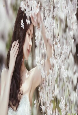 红胡子 上