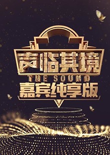 声临其境