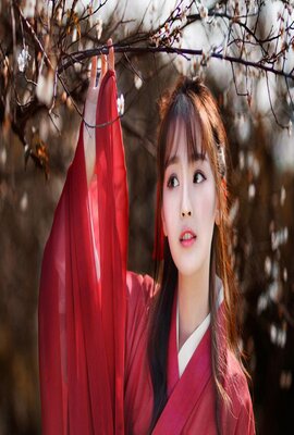 寅次郎的故事10:寅次郎美梦成真