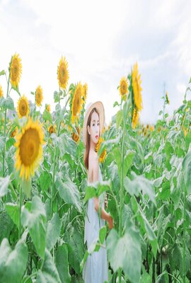 红灯2012