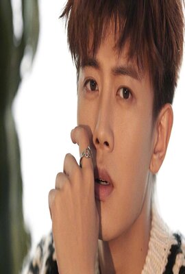 宠物小精灵:比克提尼与白英雄雷希拉姆